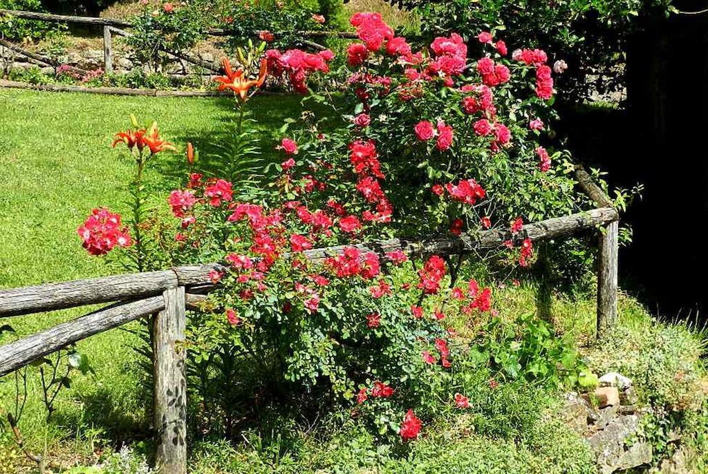 B&B Il Casale delle Pianacce Castiglione di Garfagnana Esterno foto