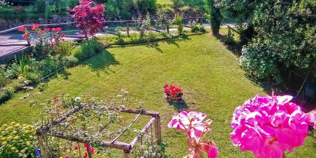 B&B Il Casale delle Pianacce Castiglione di Garfagnana Esterno foto