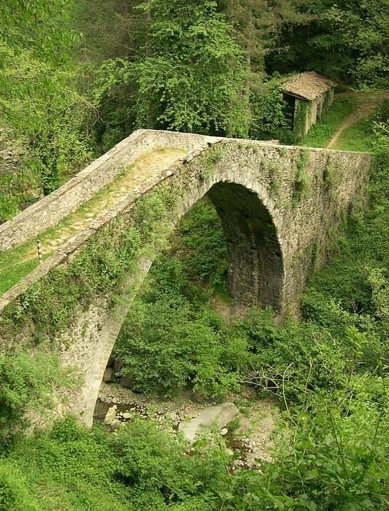 B&B Il Casale delle Pianacce Castiglione di Garfagnana Esterno foto