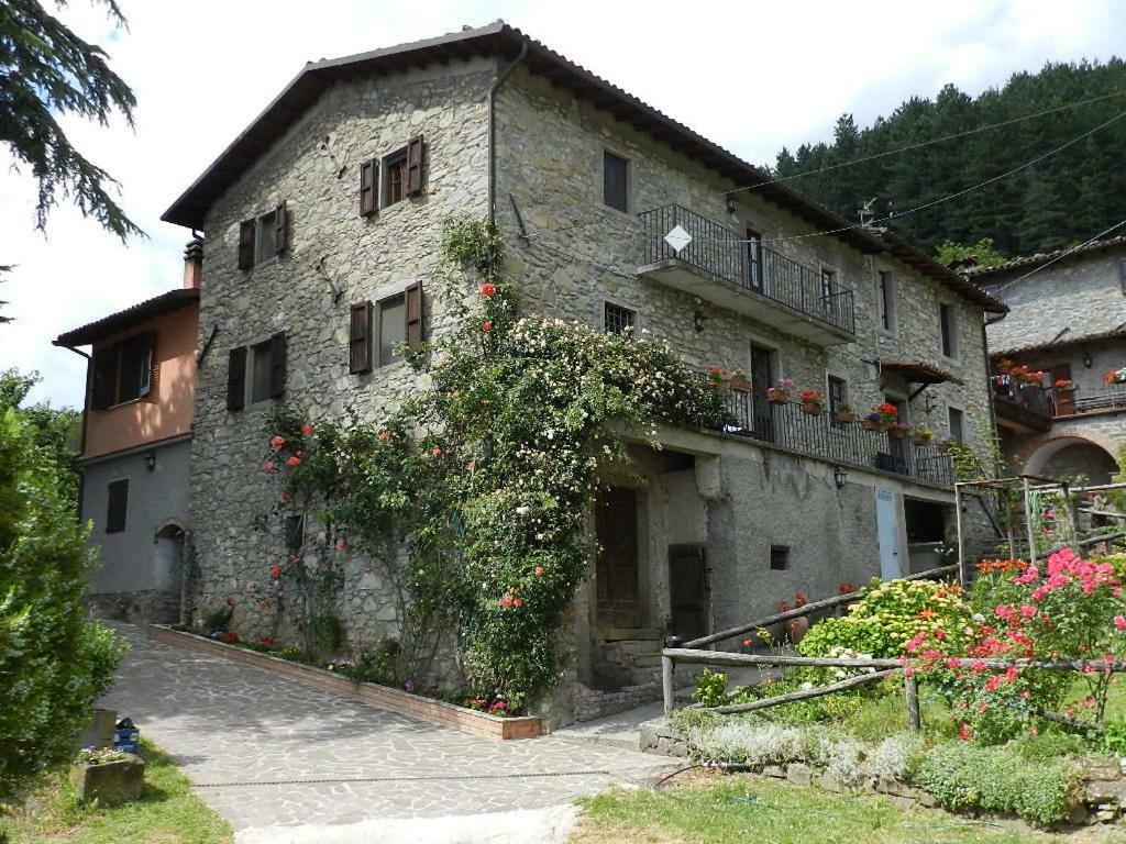 B&B Il Casale delle Pianacce Castiglione di Garfagnana Esterno foto