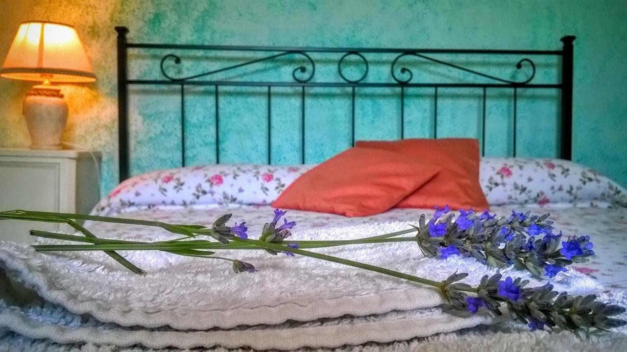 B&B Il Casale delle Pianacce Castiglione di Garfagnana Esterno foto